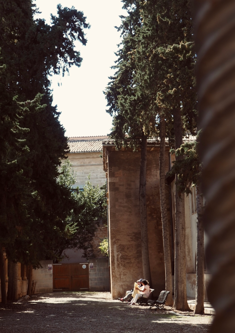 Palma Living Print