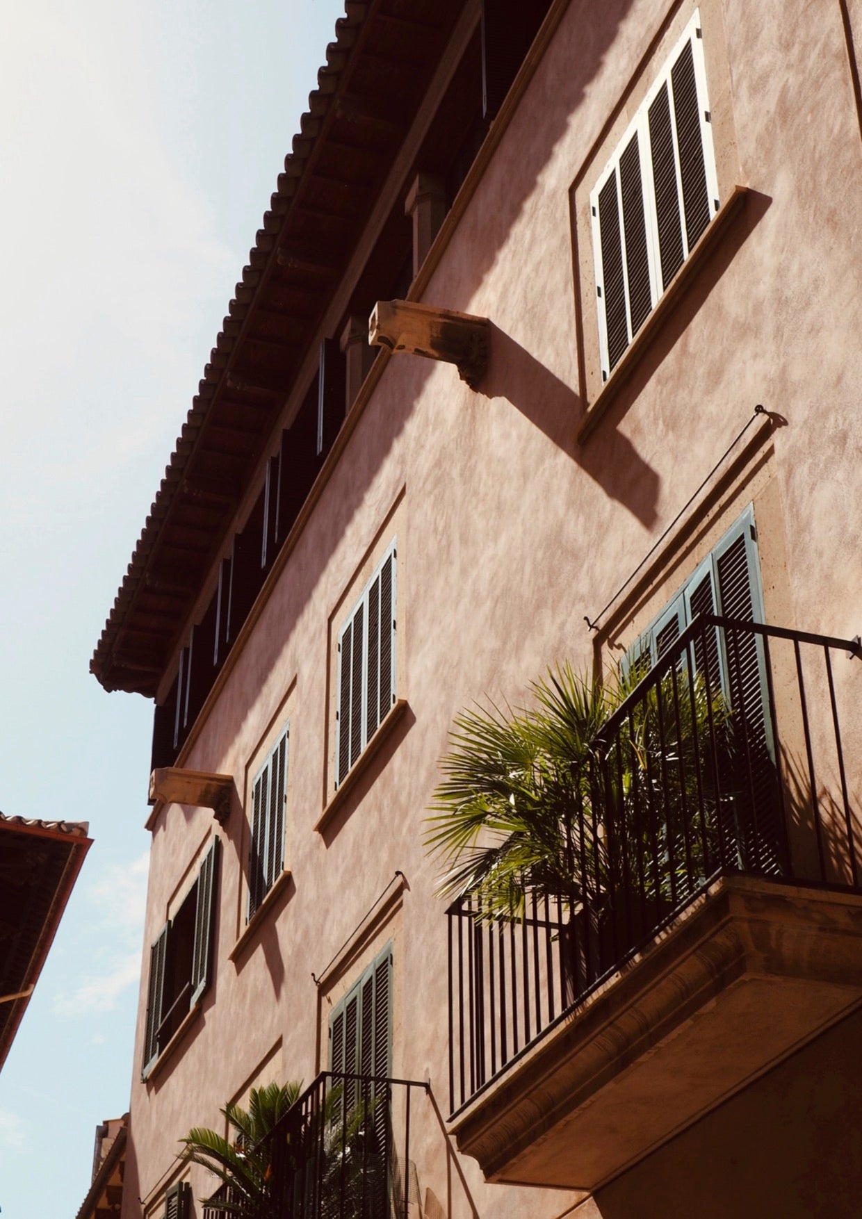 Palma Print